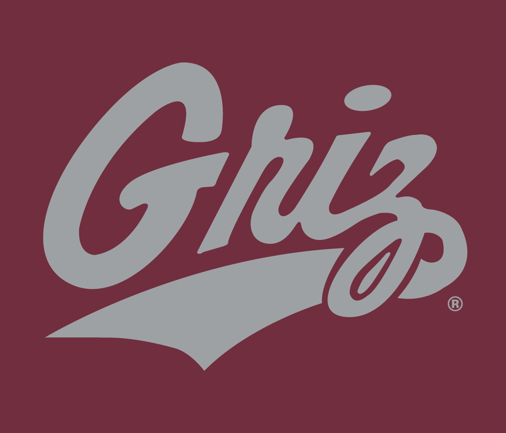 Montana Grizzlies 1996-Pres Alternate Logo v6 iron on transfers for clothing